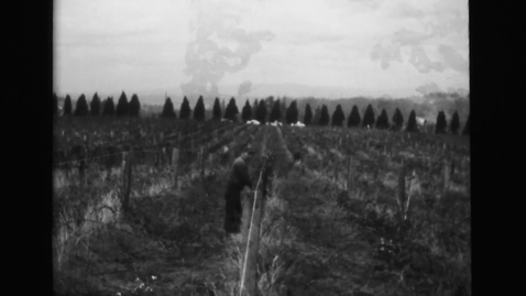 Thumbnail for Farm worker life at Green Villa Farm, Independence, Oregon, 1961