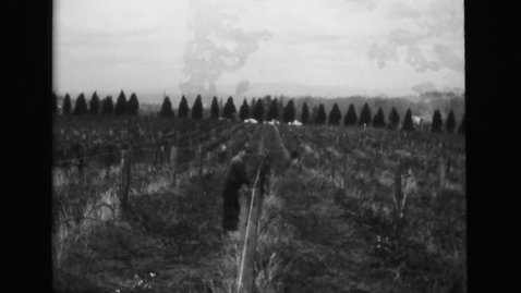 Thumbnail for entry Farm worker life at Green Villa Farm, Independence, Oregon, 1961