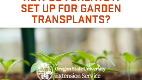 Thumbnail for entry How do I create a set up for garden transplants?