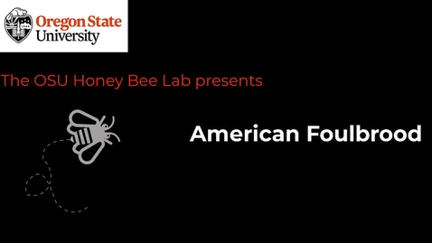 Thumbnail for American Foulbrood