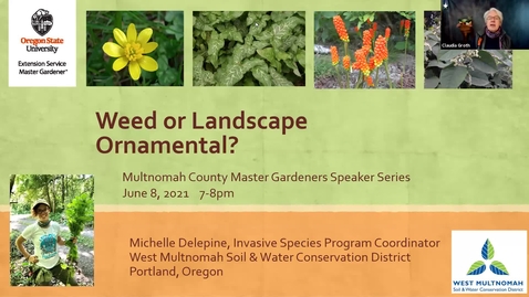 Thumbnail for **Weeds or Landscape Ornamentals? - Multnomah County Master Gardener Association Speaker Series 2021_06