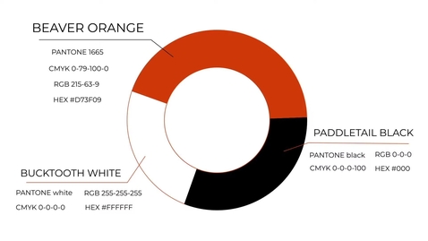 Thumbnail for Using the Brand Colors