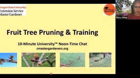 Thumbnail for entry **Fruit Tree Pruning: 10-Minute University™ Noon-Time Chat 2021_02