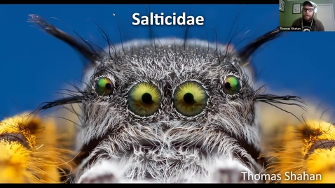 Thumbnail for entry Macro Photography of Jumping Spiders (and more!) - Multnomah County Master Gardener Association - January 2022