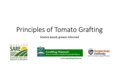 Thumbnail for entry Principles of Tomato Grafting