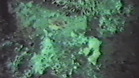 Thumbnail for Pisces submersible dive footage, 1986