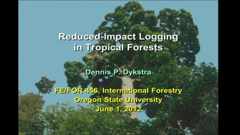 Thumbnail for entry Reduced Impacts Logging in Tropical Forests