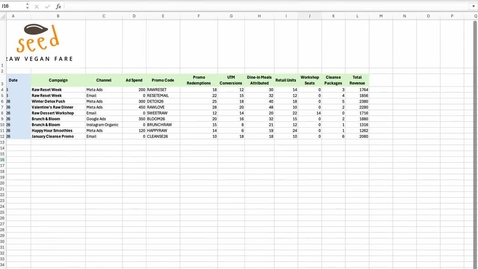 Thumbnail for Seed Raw Vegan Fare - Pivot Tables for Marketing