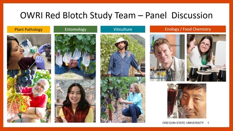 Thumbnail for Grape Red Blotch Disease Expert Panel Discussion Session