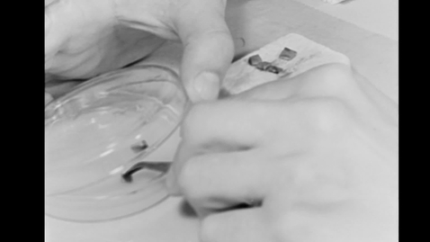 Thumbnail for OSU Plant Clinic, 1963 [Silent]