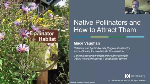 Thumbnail for **Native Pollinators and how to attract them* - Mace Vaughan - Washington County Master Gardener Lecture Series