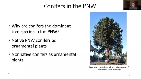 Thumbnail for **Conifers in the Pacific Northwest - Multnomah Co. Master Gardener Speaker Series March 2022