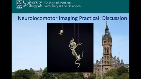 Thumbnail for entry Neurolocomotor Imaging Practial