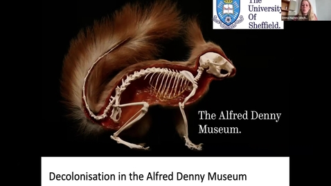 Thumbnail for 3.3 Decolonisation in the Alfred Denny Museum Teaching Museum by Emma Hughes, Rebecca Ford, Nicola Hemmings, Frane Babarovic, Gavin Thomas