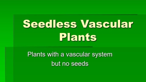 Thumbnail for entry Annotated Seedless Vascular Plants--Ferns