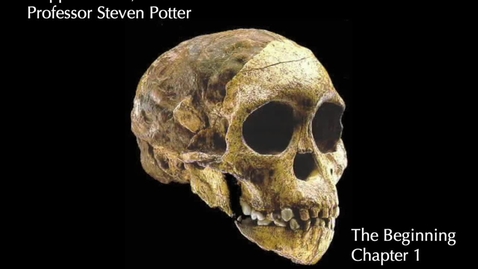 Thumbnail for Art Appreciation, Potter, Chapter 1 The Beginning