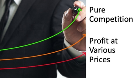 Thumbnail for Perfect Competition - Profit at Various Price Points.mp4