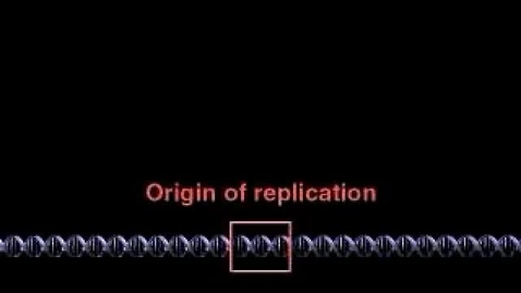 Thumbnail for 13_15OriginsOfReplication_A.mpg