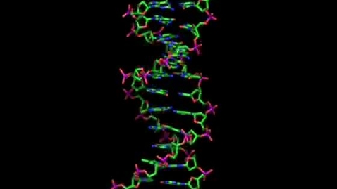 Thumbnail for DNA Stick Model