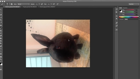 Thumbnail for How to Create An Action