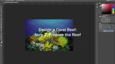 Thumbnail for entry Design a Coral Reef Project: Step 2. Prepare Your Coral Reef