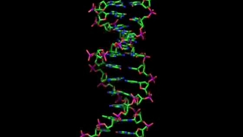 Thumbnail for DNA stick model