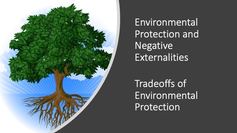 Thumbnail for entry Environmental Protection and Negative Externalities - Tradeoffs of Environmental Protection