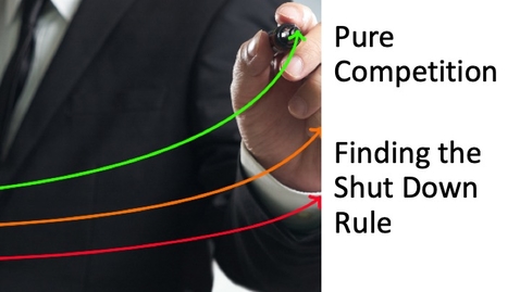 Thumbnail for Perfect Competition - Finding the Shut Down Point.mp4