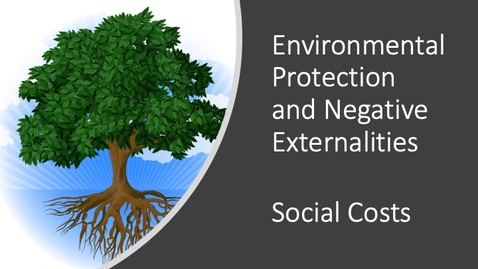 Thumbnail for entry Environmental Protection and Negative Externalities - Social Costs