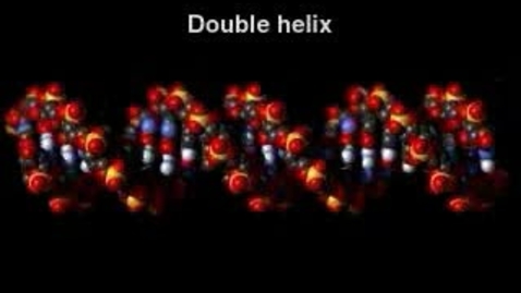 Thumbnail for 13_08aDNADoubleHelix_A.mp4