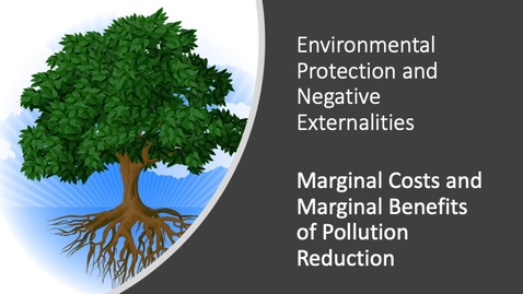 Thumbnail for Environmental Protection and Negative Externalities - Marginal Costs and Marginal Benefits of Pollution Reduction