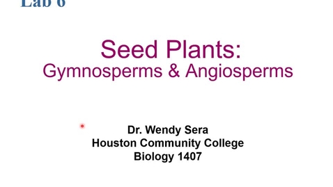 Thumbnail for entry Annotated Seed Plants (Angiosperm and Gymnosperms) Lecture