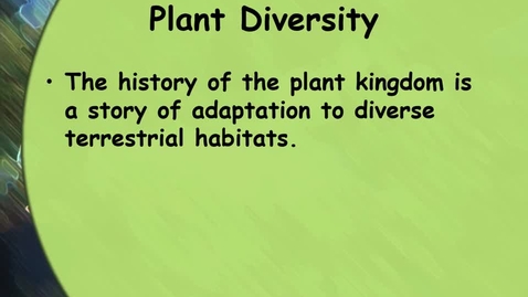 Thumbnail for Lab Lecture--Diversity of Plants and Bryophtes