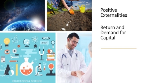 Thumbnail for entry Positive Externalities and Public Goods - Return and Demand for Capital
