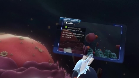 Thumbnail for Student Group Project: Animal Nerve Cell in VR