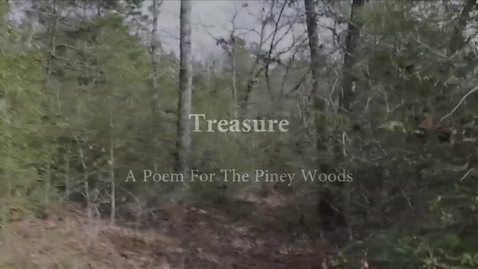 Thumbnail for entry Treasure: A Poem for The Piney Woods by Linda.Koffel