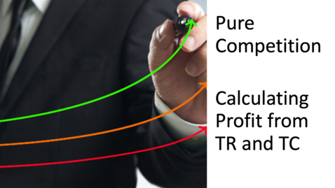 Thumbnail for Perfect Competition - Calculating Profit from TR and TC.mp4