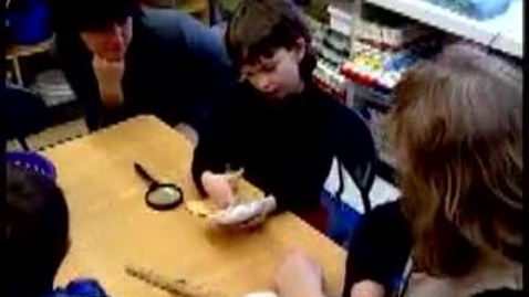 Thumbnail for Multiple Intelligence Video