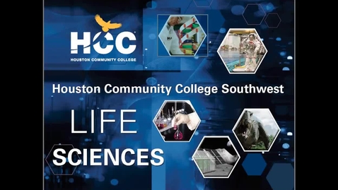 Thumbnail for Introduction to Cellular Respiration