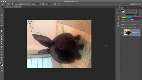 Thumbnail for How to Run a Batch in Photoshop