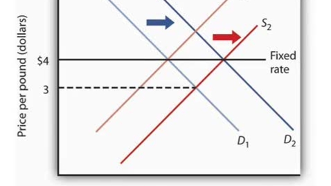 Thumbnail for Maintaining a Fixed Exchange Rate