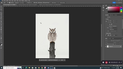 Thumbnail for Adding custom prints