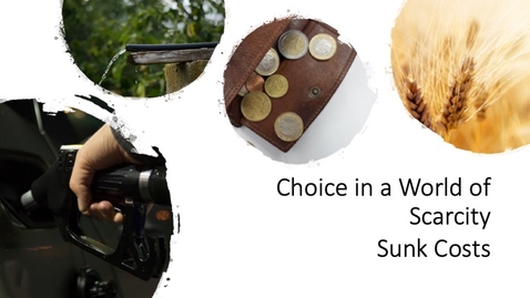 Thumbnail for Choice in a World of Scarcity - Sunk Costs