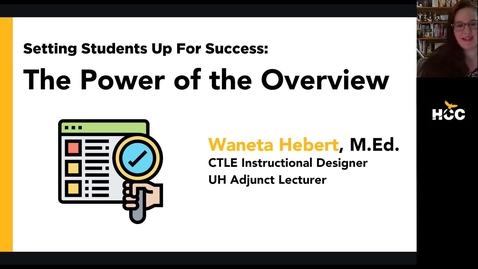 Thumbnail for CTLE Coffee Corner: The Power of the Overview