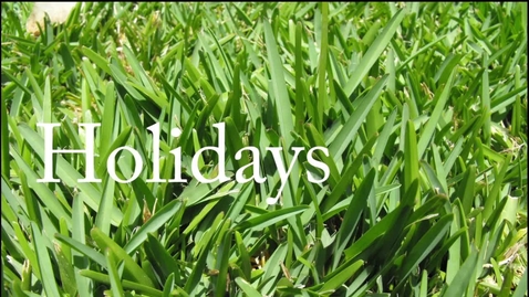 Thumbnail for Holidays— Duncan Hasell