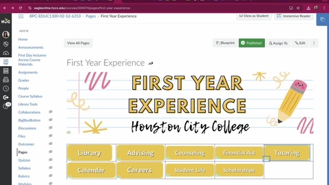 Thumbnail for First Year Experience Video