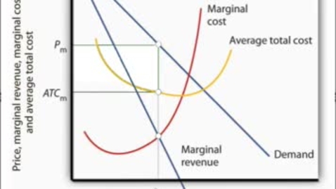 Thumbnail for Monopolist Maximizing Economic Profit