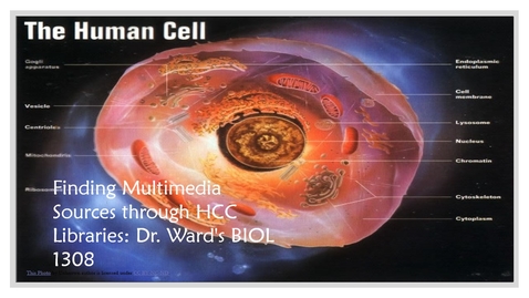 Thumbnail for entry Finding Multimedia Sources through HCC Libraries: Dr. Ward's BIOL 1308