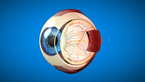 Thumbnail for 3D objects and video in Edutube