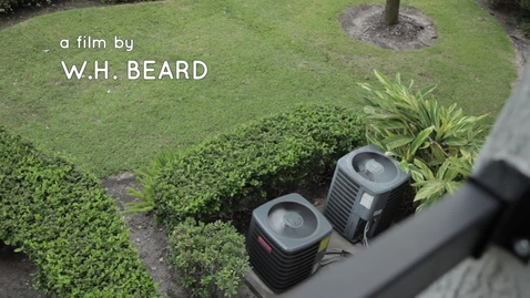 Thumbnail for Will Beard: Our Urban Soundtrack